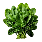 Low-FODMAP Vegetables