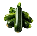 Zucchini