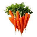 Carrots