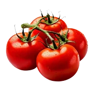 Tomatoes