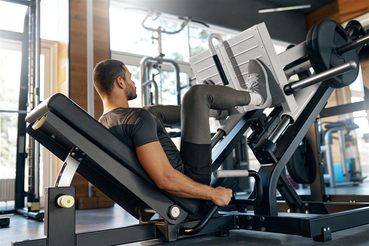 Intro to Muscle Building