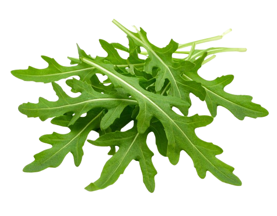 arugula