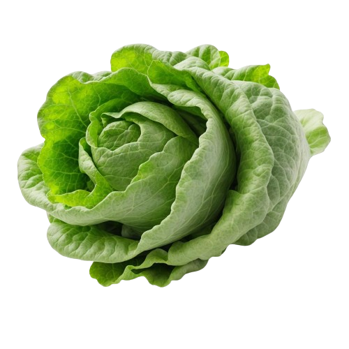 arugula
