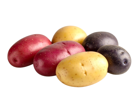 baby potatoes