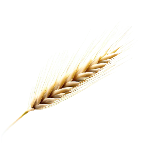 Your choose of Grain