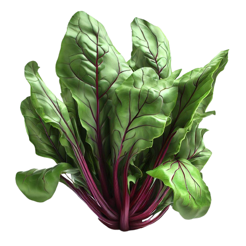 swiss chard leaves