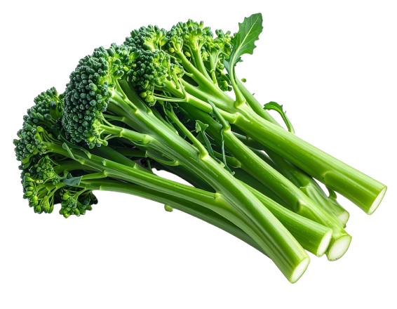 broccolini
