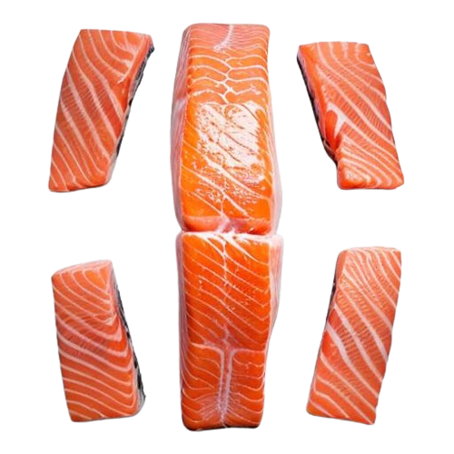 salmon in water