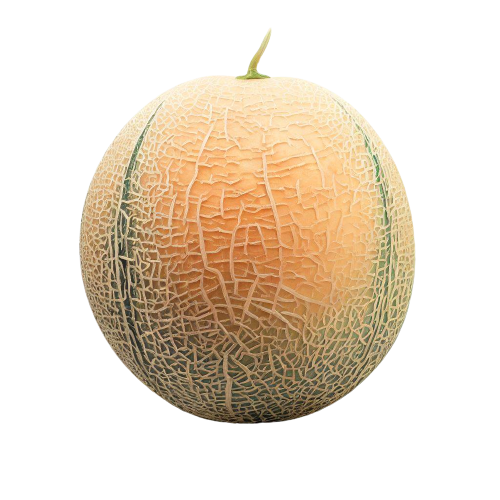 ripe cantaloupe
