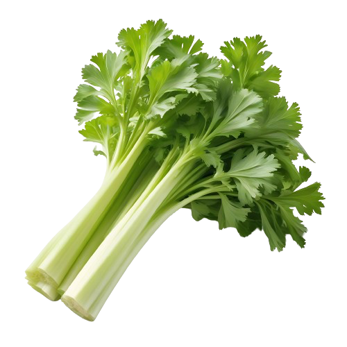 celery