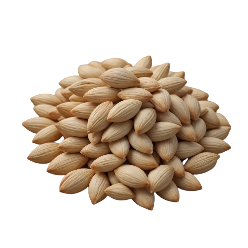 celery seed