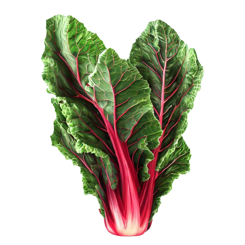 swiss or rainbow chard