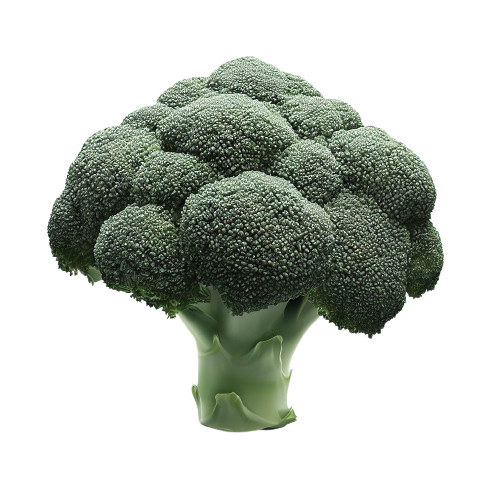 fresh spinach, chard, Chinese broccoli or baby bok choy