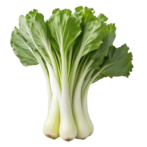 pak-choi 