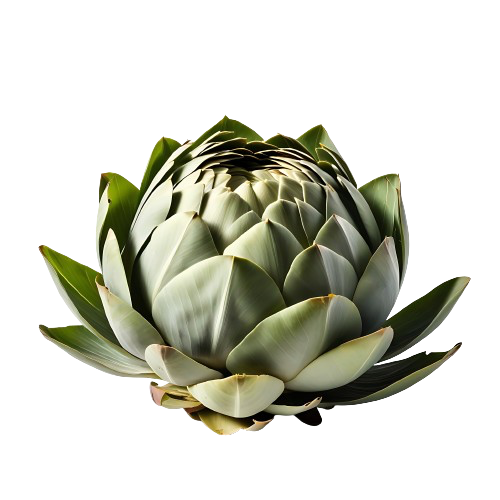 quartered artichoke hearts