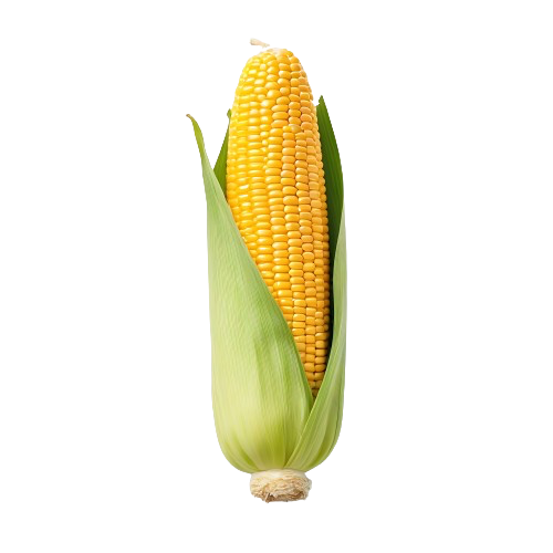 1 cup cooked corn