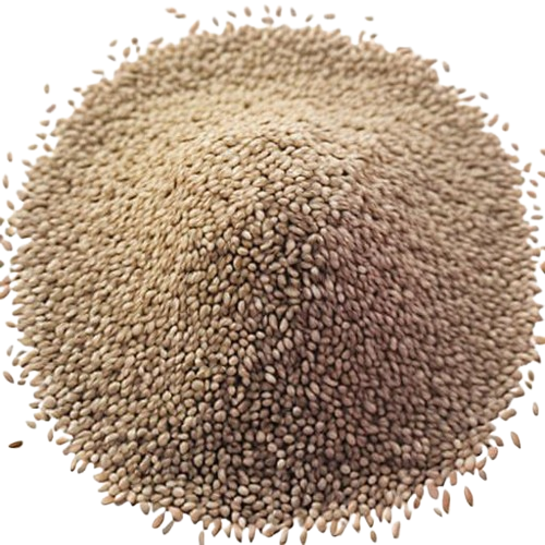 cumin seeds