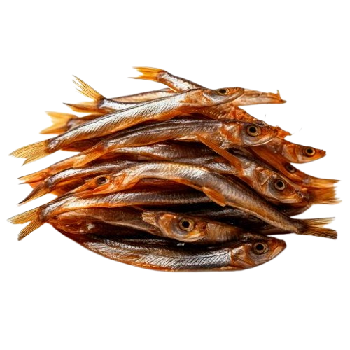 anchovies