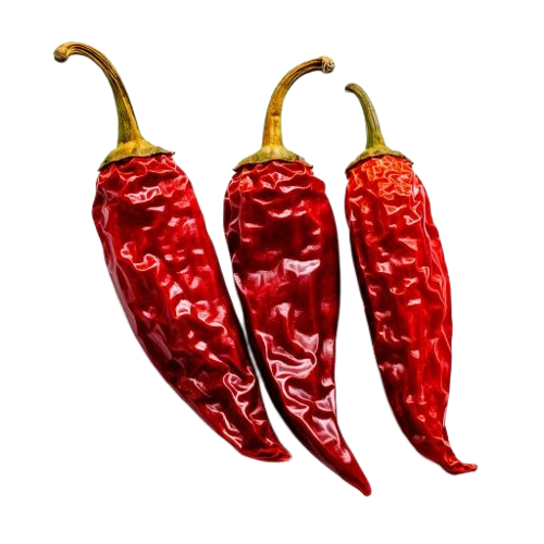 Dried red chilies