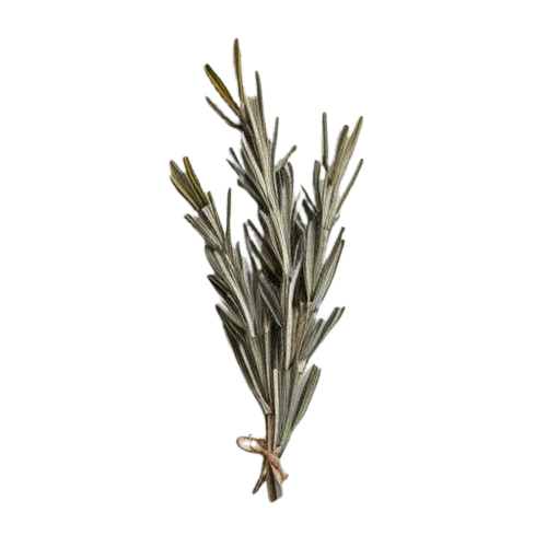 Dried rosemary