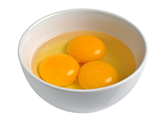 egg yolk