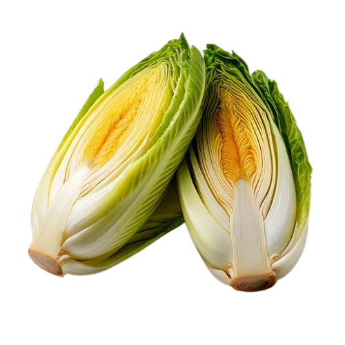 Belgian endive