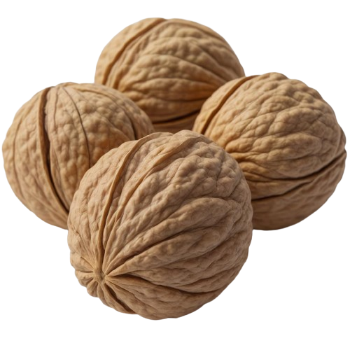 walnuts