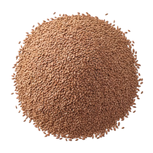 Flax Seed