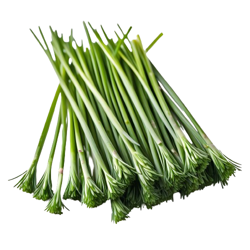 freshly-snipped chives