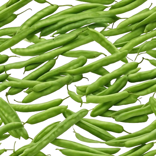 green beans (string beans or french beans)