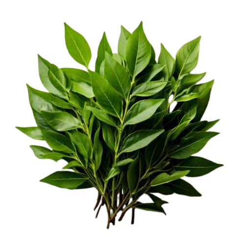 Fresh thyme leaves or parsley