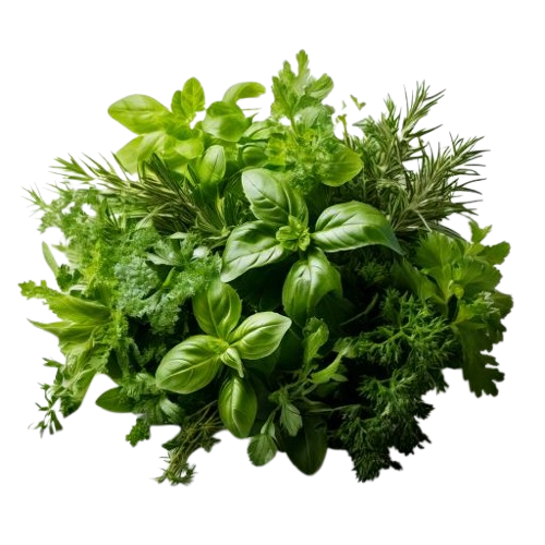 fresh herbs