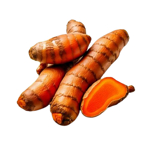 fresh turmeric root