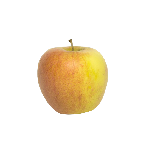 Golden Delicious Apple