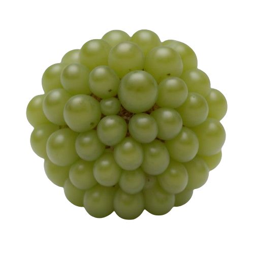 grapes