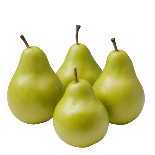 anjou or bosc pear