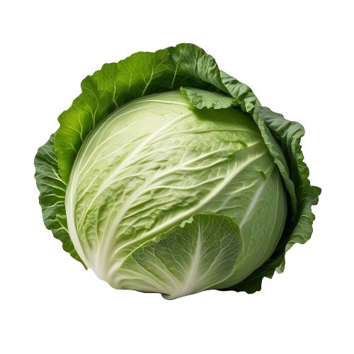 green cabbage