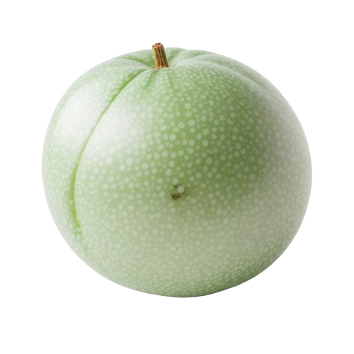 medium-large honeydew melon