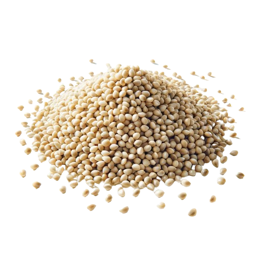 hemp seeds