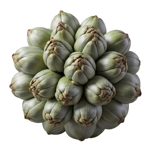 artichokes