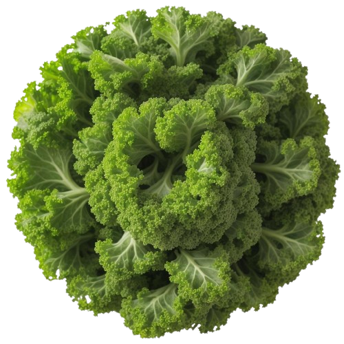 curly kale