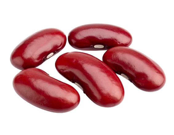 kidney beans