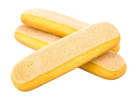lady finger biscuits
