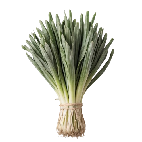 leek