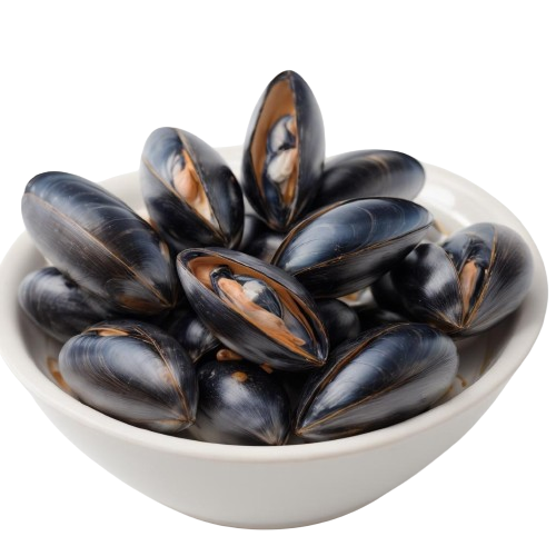 mussels