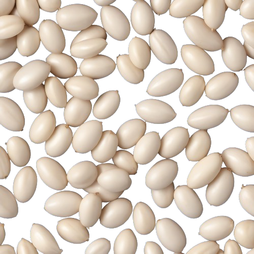navy beans or cannellini/Great Northern