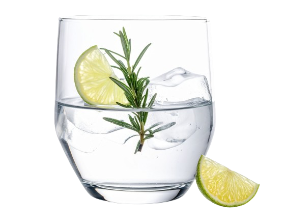 non-alcoholic gin alternative