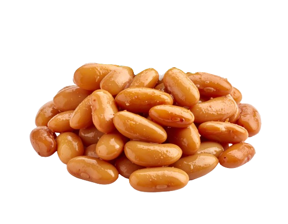 black or pinto beans