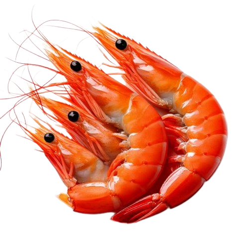 king prawns or black tiger prawns