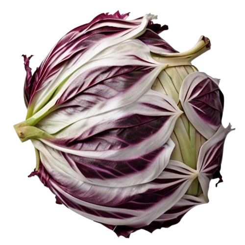 radicchio